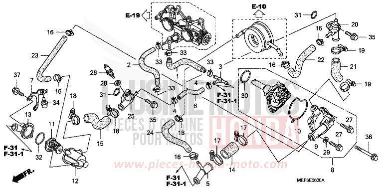 WASSERPUMPE von SW-T400 ABS PEARL SUNBEAM WHITE (NHA66) von 2009